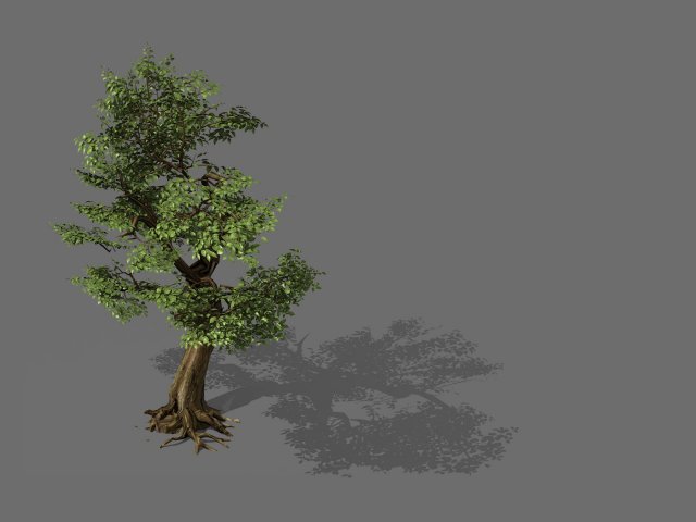 Game Models – Forest – Trees 06 3D Model