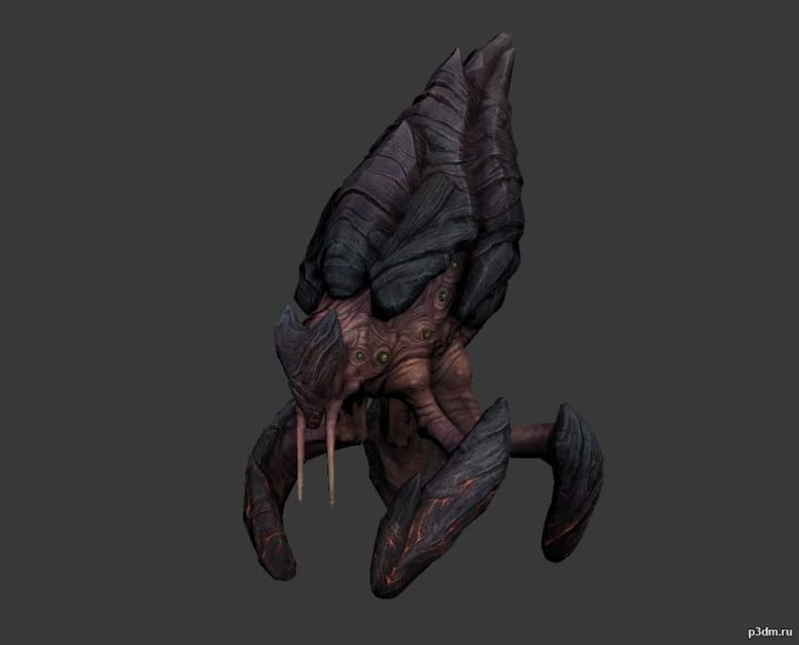 Obsidian Grub 3D Model