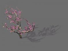Game Model – Forest – Peach Tree 01 3D Model