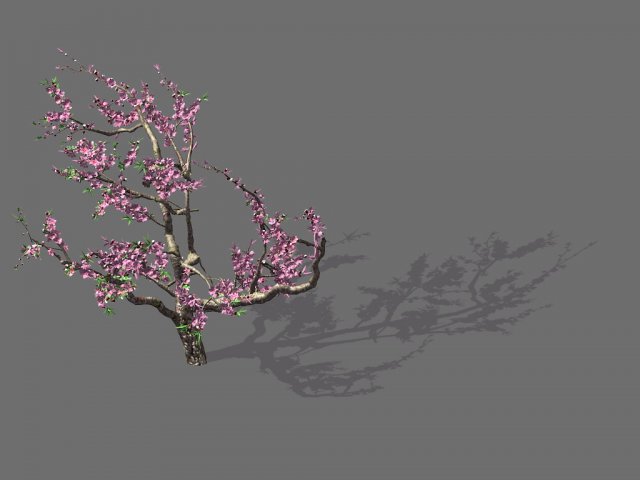 Game Model – Forest – Peach Tree 01 3D Model