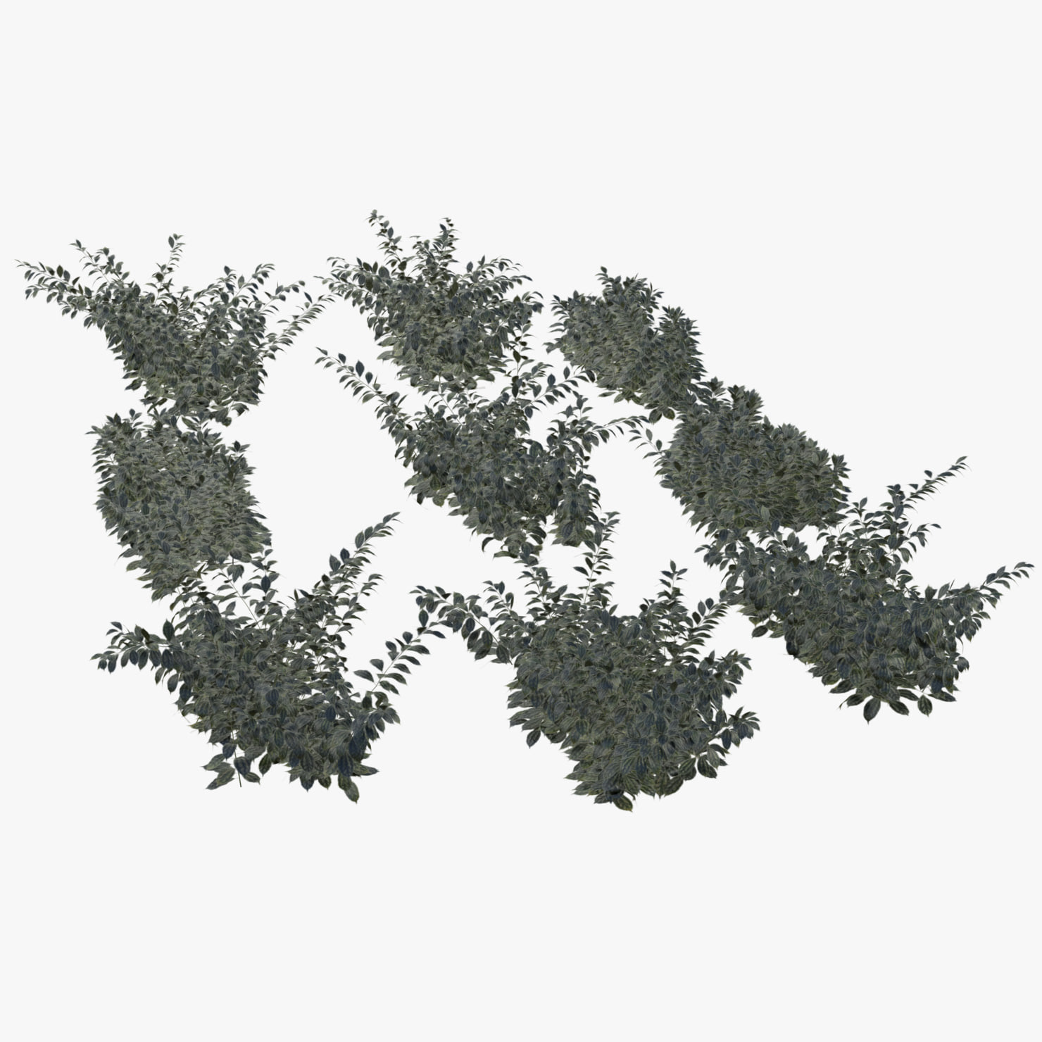 3D Bushes md04 model 3D Model