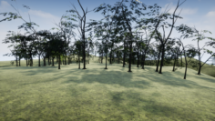 Tree 01 3D Model