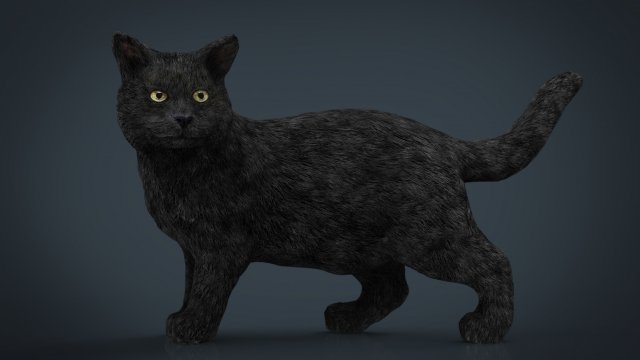 Cat 3D Model