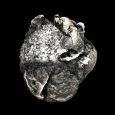 low poly Meteorite 3D Model