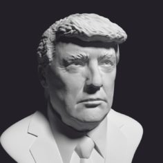 Donald Trump printable bust 3D Model