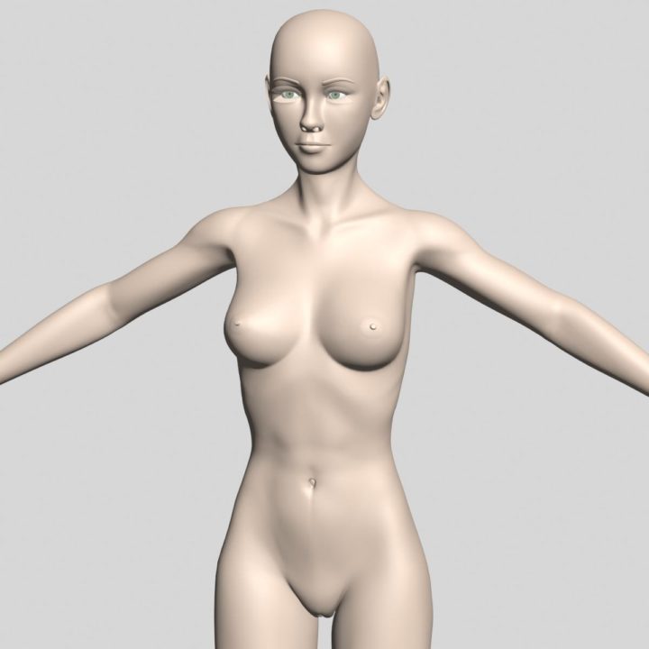 Female 3d model 3D Model
