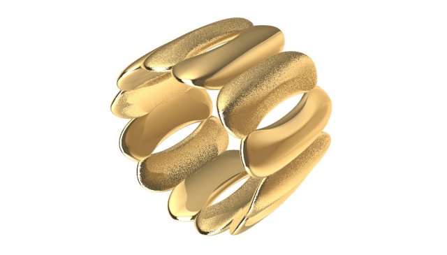 A different ring 3D Model