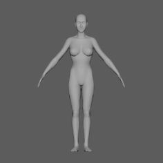 3D female basemesh 3D Model
