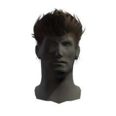 hair man 2 3D Model