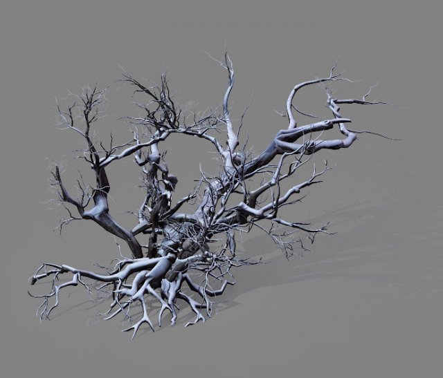 Game Model – Snow – Dead Tree 01 3D Model