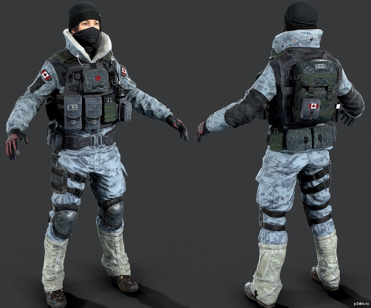 Frost 3D Model