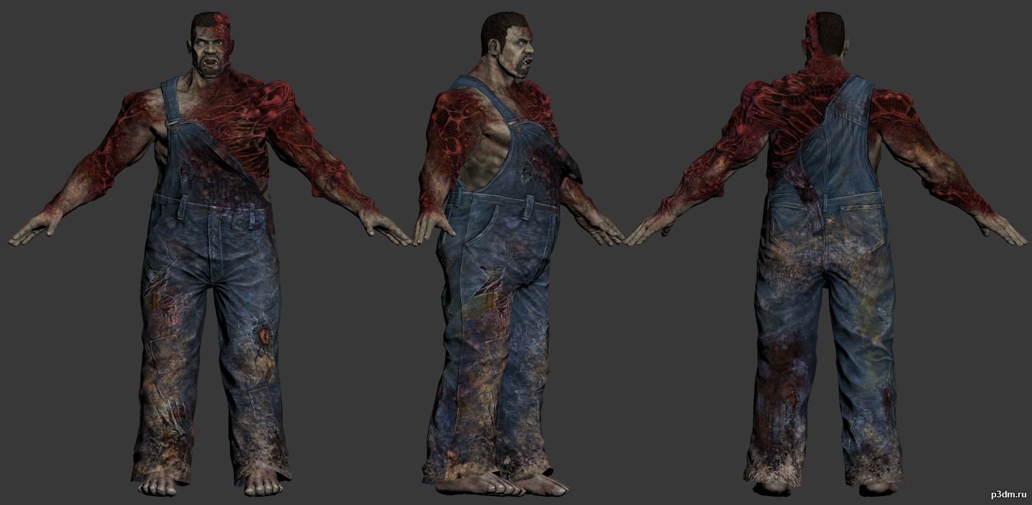 Chimera Texas 3D Model
