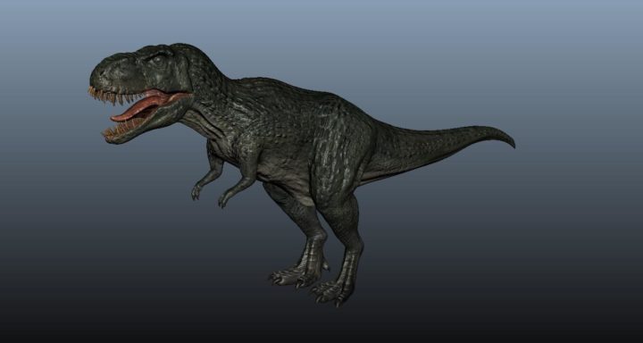 Tyrannosaurus Rex 3D 3D Model