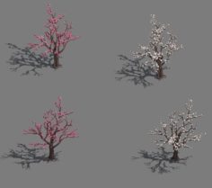 Daughter village – plum tree 3D Model