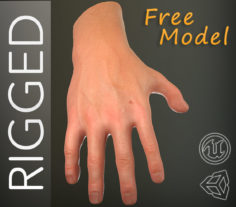 Male Hand Rigged (Free) 3D model Free 3D Model