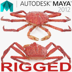 Red King Crab Rigged for Maya 3D Model