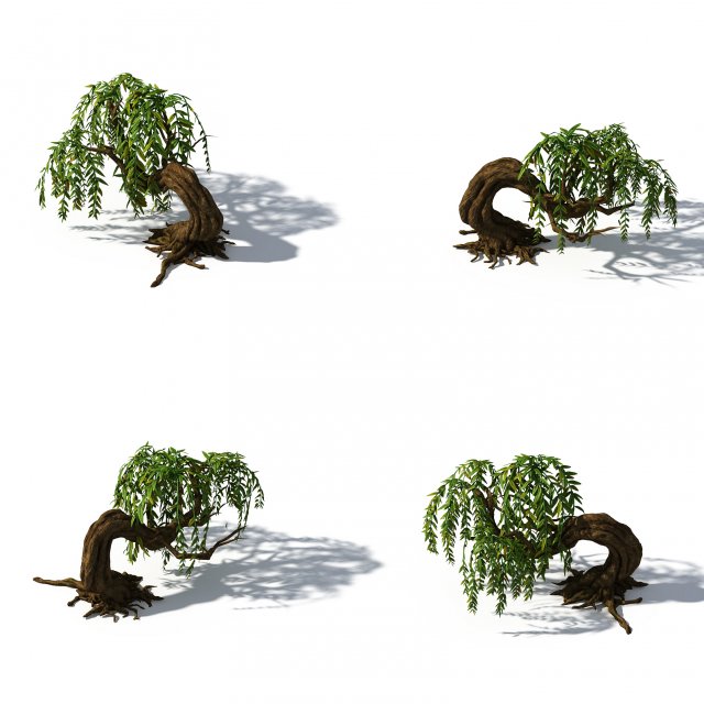 Peach Blossom Island – Plant – Willow 01 3D Model