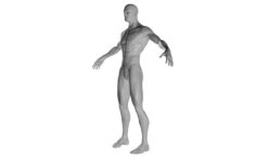 Hombre Free 3D Model