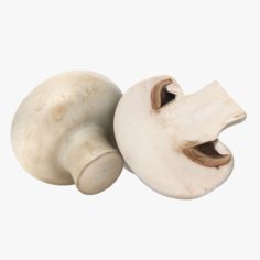 Button Mushroom (Champignon) 3D Model