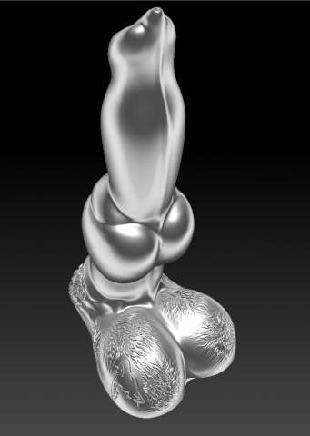 Penis 3D Model