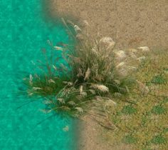 Lakeside Plants – Reed 04 3D Model