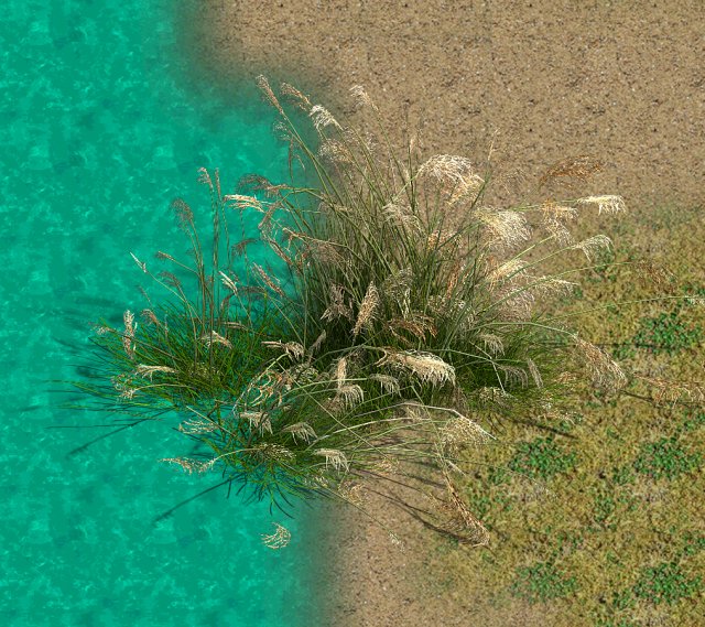 Lakeside Plants – Reed 04 3D Model