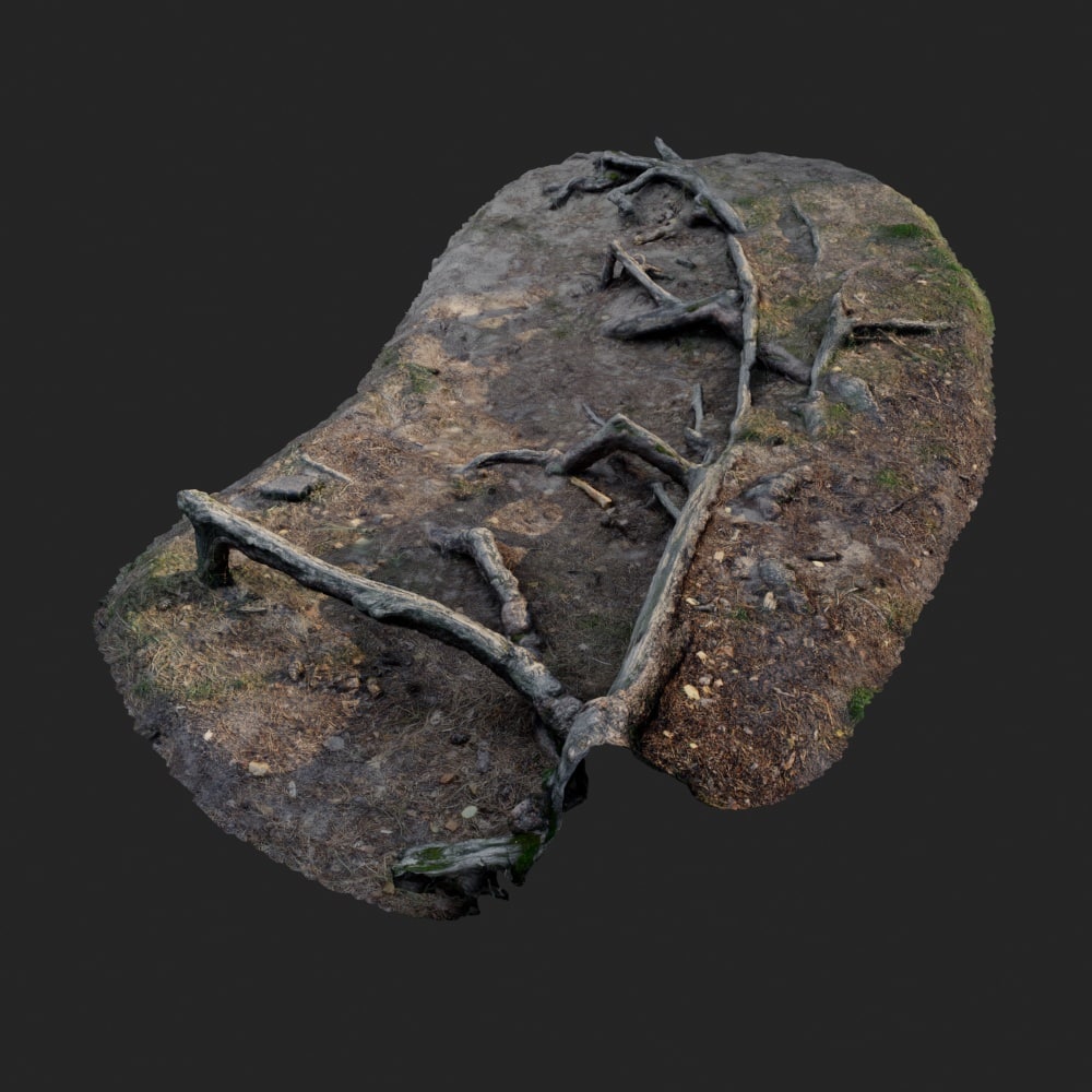 3d scanned nature forest roots 002 3D 3D Model