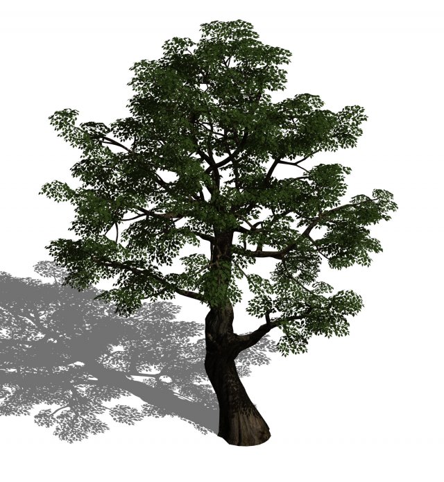 Horde Plants – Big Trees 02 3D Model