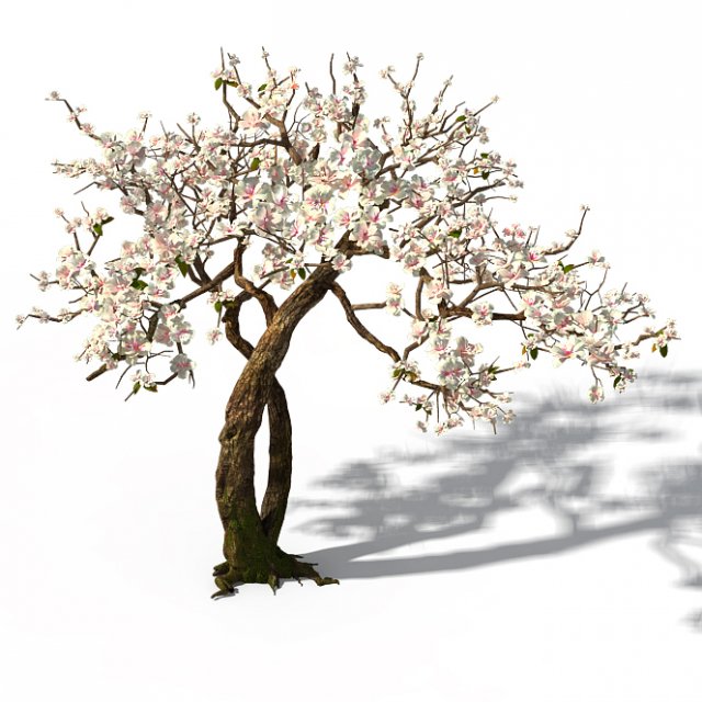 Peach Blossom Island – Trees 06 3D Model