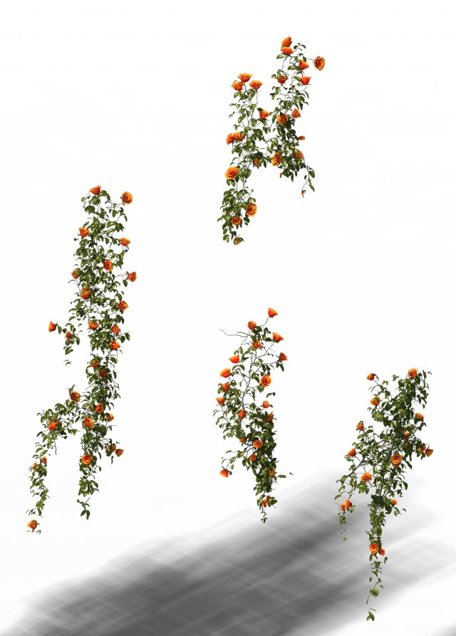 Plant – vines 01 3D Model