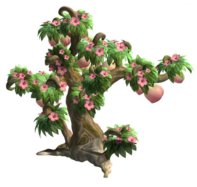 Plant model – peach tree 271 3D Model