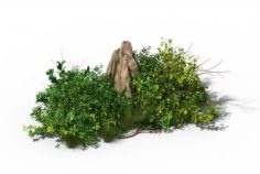 General plant – flowers 37 3D Model