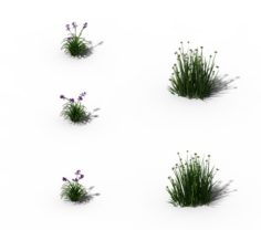 Flowers – General Weeds 01 3D Model