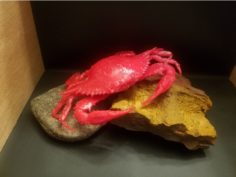 Maryland Blue Crab 3D Print Model