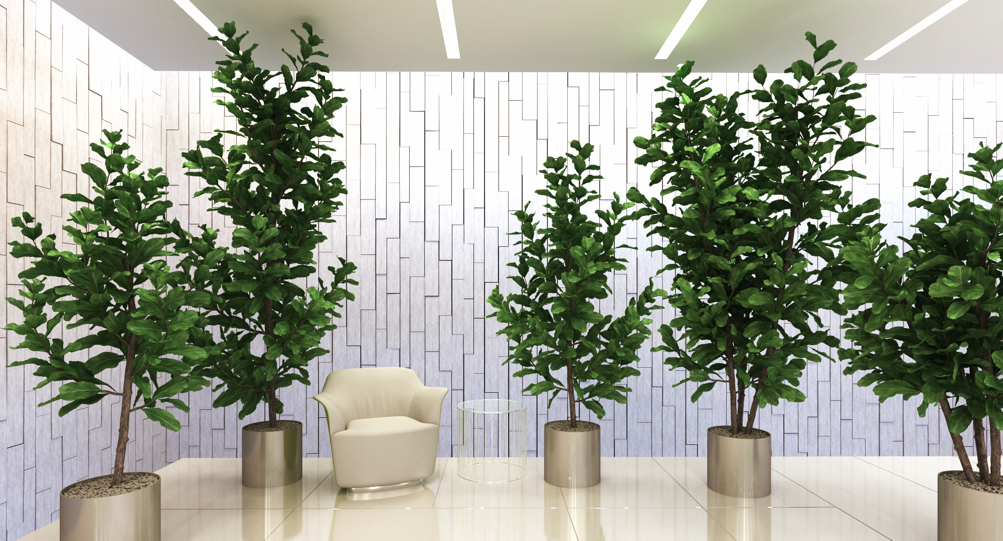 ficus lyrata 3D model 3D Model