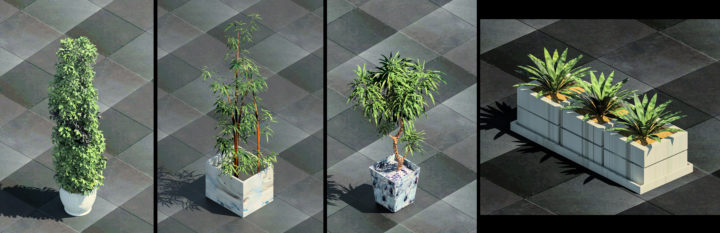 3D 4 Tree type Revit model 3D Model