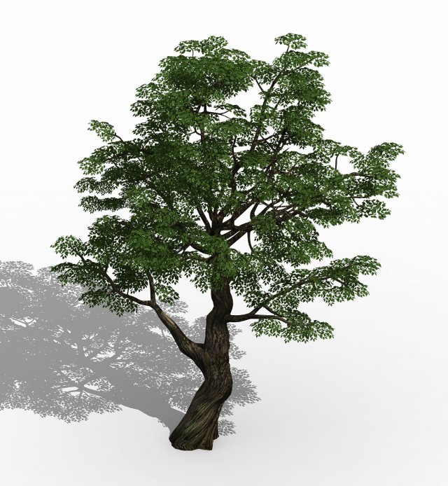 Horde Plants – Big Trees 01 3D Model