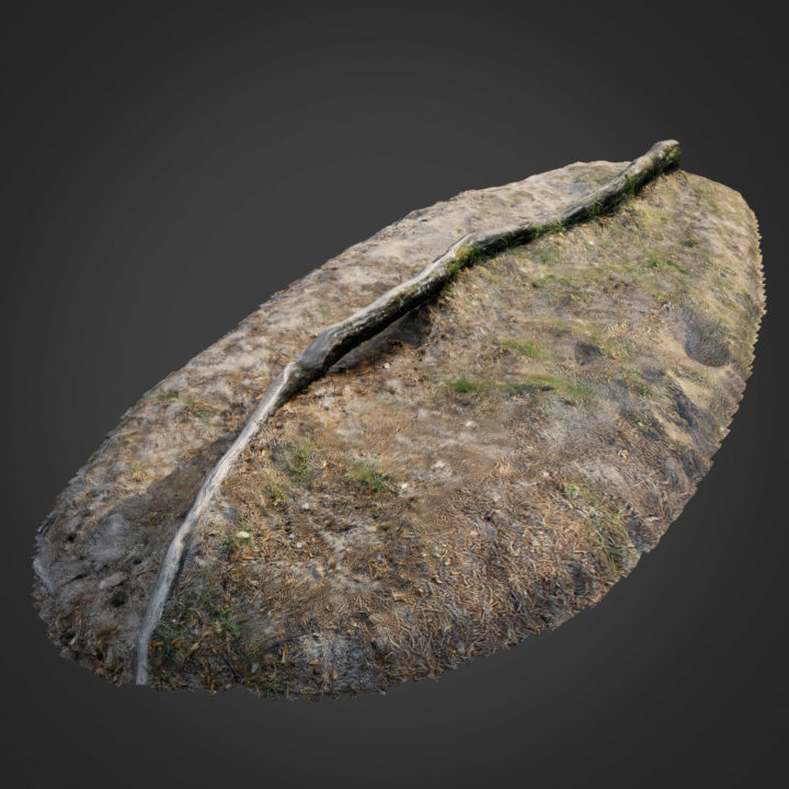 3d scanned nature forest roots 003 3D Model