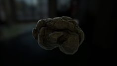 Forest Rocks 3D Model