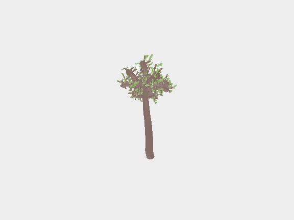 Branch Tree ( cartoon like ) Free 3D Model