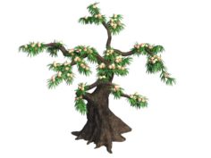 Plant – Peach 033 3D Model