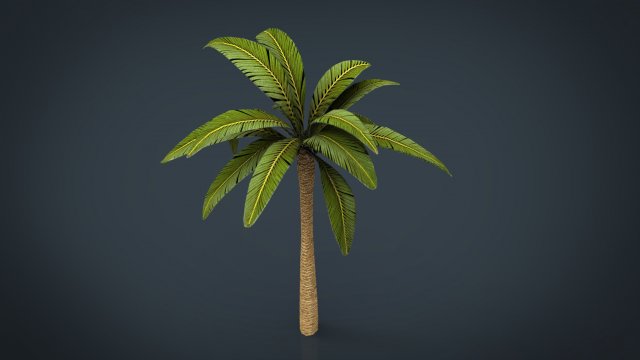 Palm Tree 3D Model