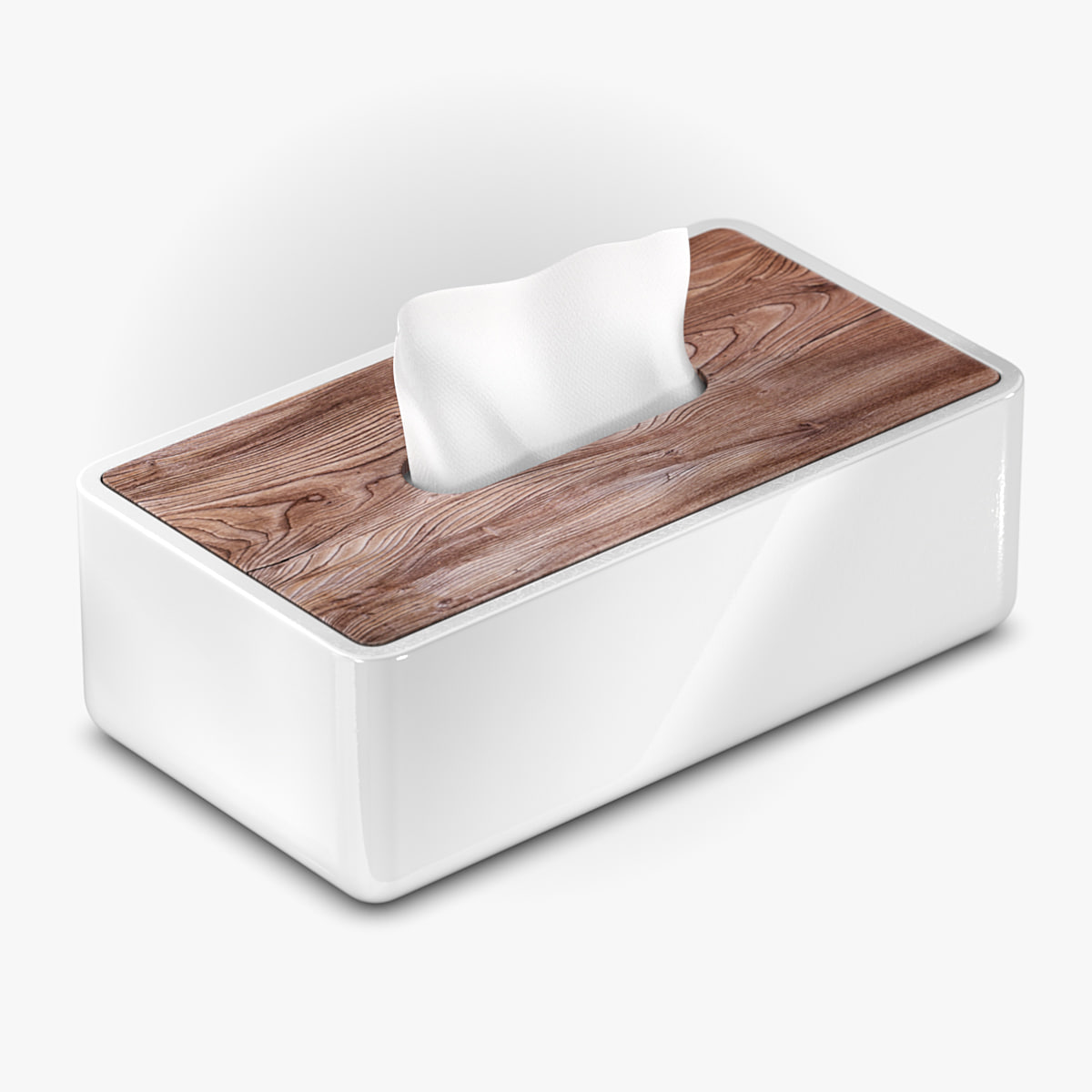 Tissue Dispenser 3D Model