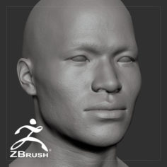 Average Asian Male Head Basemesh 3D Model