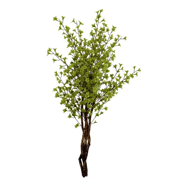Forest plants – Small trees 032 3D Model