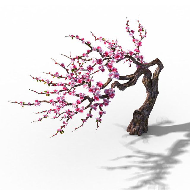 Peach Blossom Island – Peach Tree 03 3D Model