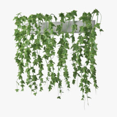 ivy in pot 03 3D Model