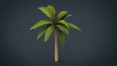 Palm Tree model 3D Model