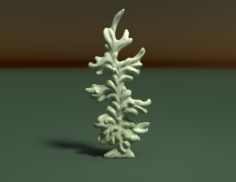 Fir tree 3D Model