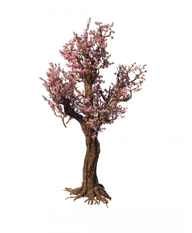 Tree – wonderful fantasy – peach tree 01 3D Model